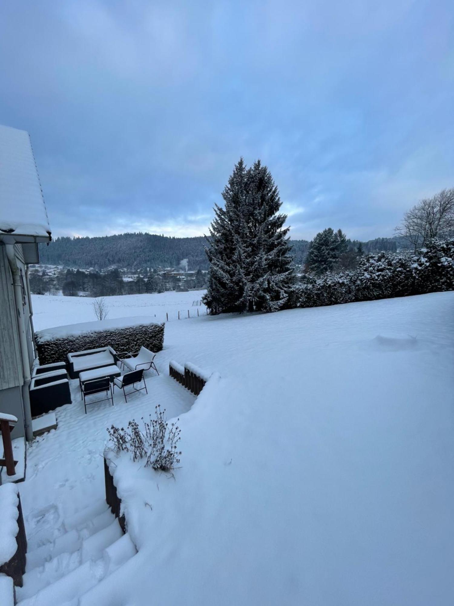 Chalet Le Cedre Bleu 10 P - 10 Min De Gerardmer Le Tholy Ngoại thất bức ảnh
